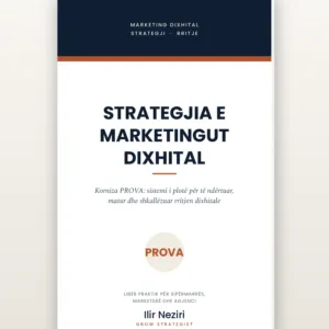 STRATEGJIA E MARKETINGUT DIXHITAL